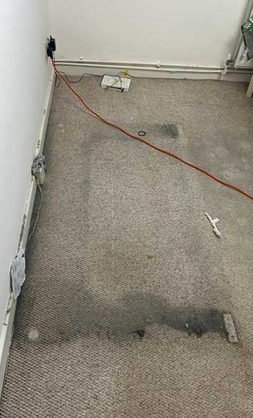 No. 1 Before Carpet Cleaning