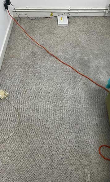 No. 1 After Carpet Cleaning