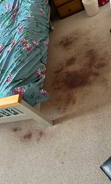 No. 2 Before Carpet Cleaning